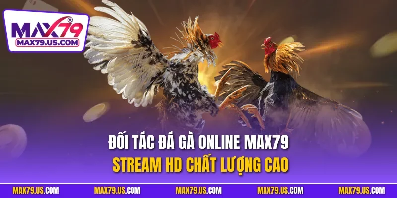 Đối tác đá gà online MAX79 stream HD chất lượng cao
