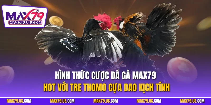 Hình thức cược đá gà MAX79 hot với tre Thomo cựa dao kịch tính